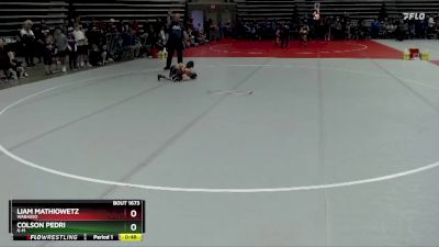 45 lbs Cons. Round 3 - Liam Mathiowetz, Wabasso vs Colson Pedri, K-M