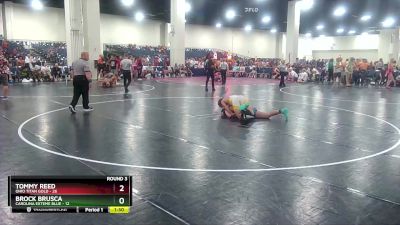 165 lbs Round 3 (6 Team) - Tommy Reed, Ohio Titan Gold vs Brock Brusca, Carolina Exteme Blue