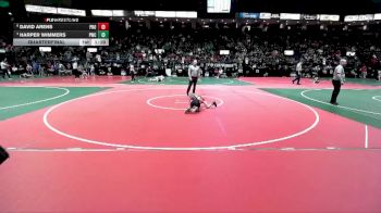 65 lbs Quarterfinal - Harper Wimmers, PWCA vs David Arens, PROA