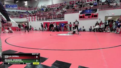 110 lbs Cons. Round 3 - Reagan Johnson, TONKAWA/DEER CREEK-LAMONT vs Stella Caygill, BIXBY