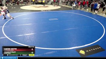 126 lbs Champ. Round 1 - Charlie Palm, Minnetonka vs Carter Wothe, Cambridge-Isanti