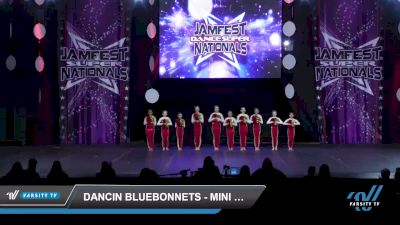 Dancin Bluebonnets - Mini Elite Pom [2022 Mini - Pom - Small Day 3] 2022 JAMfest Dance Super Nationals