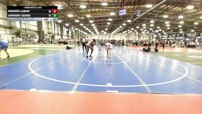 132 lbs Round Of 128 - Horatio Lamar, GA vs Anthony Szabo, VT