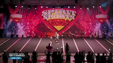 Cheer Extreme - Raleigh - Tiny X Sharkies [2025 L1 Tiny Day 1] 2025 Spirit Sports Myrtle Beach Nationals