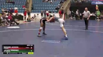 165 lbs Cons. Round 2 - Richard Jackson, Lourdes vs Jayden Terronez, St. Ambrose