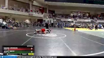 93 lbs Semis (4 Team) - Wyatt Britz, Foley vs Gauge Johnson, Pierz