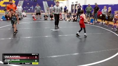 65 lbs Round 5 (6 Team) - Tanner James, Palmetto State Wrestling Academy vs Jace Jackson, KC Elite