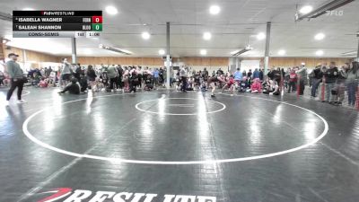132 lbs Consolation - Isabella Wagner, Ferndale vs Saleah Shannon, Bloomsburg