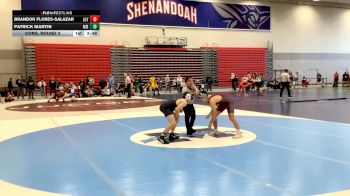 157 lbs Cons. Round 3 - Patrick Martin, Marymount vs Brandon Flores-Salazar, Alvernia University