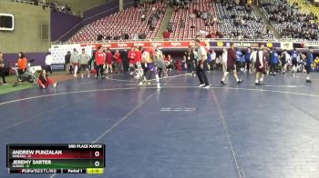 125 lbs Placement (4 Team) - Andrew Punzalan, Wabash vs Jeremy Sarter, Albion