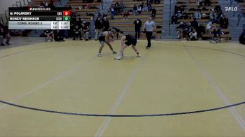 141 lbs Cons. Round 3 - Rowdy Neighbor, Saint Cloud State vs Aj Polansky, Southwest State