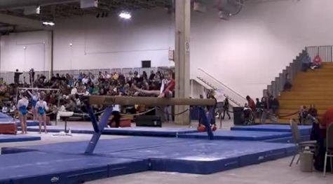 Chows (Norah Flatley)