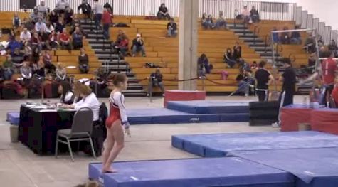 Chows (Norah Flatley)