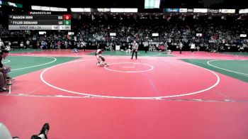 74 lbs Champ. Round 2 - Tyler Demand, LAC3 vs Mason Bem, ROGA