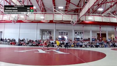 141 lbs 3rd Place Match - Dylan Phelps, Olivet vs Desmond Diggs, Mount St. Joseph