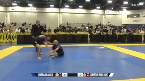 Sebastian Lemus Dorst vs Hassan Hamsh 2024 World IBJJF Jiu-Jitsu No-Gi Championship