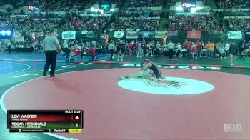 Quarterfinal - Levi Wagner, Three Forks vs Tegan Mcdonald, Columbus / Absarokee