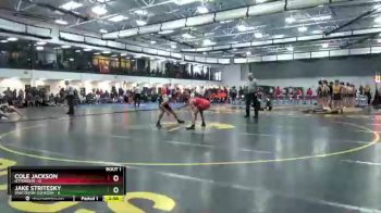 133 lbs Round 1 (8 Team) - Cole Jackson, Otterbein vs Jake Stritesky, Wisconsin-Oshkosh