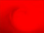 Webb, Sully and Willis Oh My!