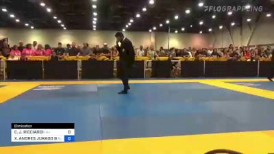CARLO J. RICCIARDI vs XAVIER ANDRES JURADO BEDRAN 2022 World Master IBJJF Jiu-Jitsu Championship