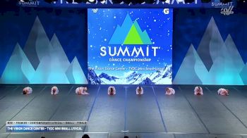 The Vision Dance Center - TVDC Mini Small Lyrical [2026 Mini - Premier - Contemporary/Lyrical - Small Finals] 2026 The Dance Summit