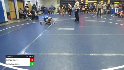 48 lbs Consy 4 - Grey Moenich, Felix Wrestling Acad. vs Kaden Slebodnik, Belle Vernon