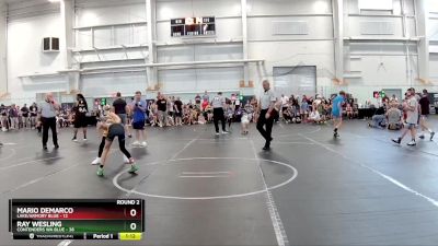 84 lbs Round 2 (6 Team) - Ray Wesling, Contenders WA Blue vs Mario Demarco, Lake/Armory Blue