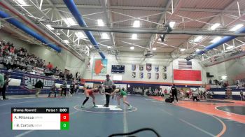 125 lbs Champ. Round 2 - Bella Curcuru, Geneseo vs Anna Miloncus, Springfield (H.S.)