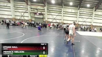 178 lbs Quarterfinal - Ethan Hall, Davis vs Merrick Nielson, Farmington