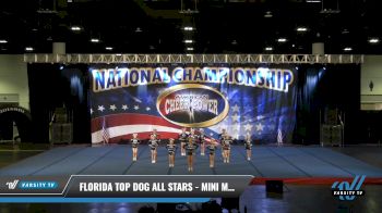 Florida Top Dog All Stars - Mini Mavericks -Lakewood Ranch [2021 L1 Mini Day 2] 2021 ACP: Tournament of Champions