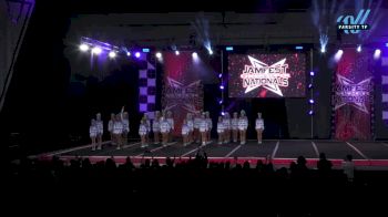 The Stingray Allstars - Gray [2025 L2 Junior - Medium Day 1] 2025 JAMfest Cheer Super Nationals