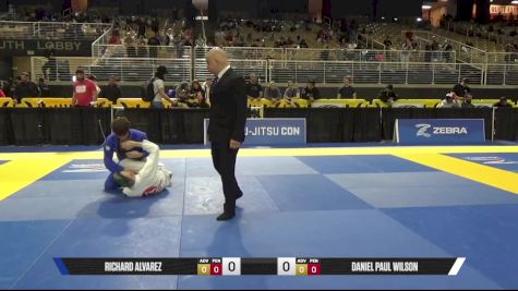 Daniel Paul Wilson vs Richard Alvarez 2025 Pan Jiu Jitsu IBJJF Championship