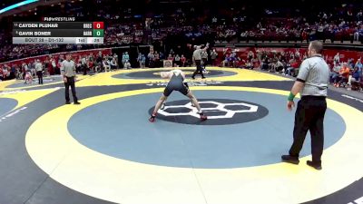 D1-132 lbs Cons. Round 2 - Cayden Pluhar, Brecksville vs Gavin Boner, Harrison