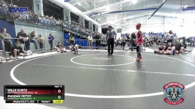 80 lbs Round 3 (4 Team) - Wille Kurtz, East Kansas Eagles Gold vs Phoenix Pettit, Potentially Dangerous