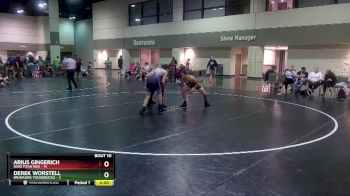 132 lbs Round 2 (16 Team) - Derek Worstell, Brawlers YoungBucks vs Arius Gingerich, Ohio Titan Red