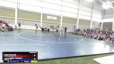 113 lbs Semis & 1st Wrestleback (8 Team) - Liam Collins, Minnesota Blue vs Alejandro Vargas, Oregon