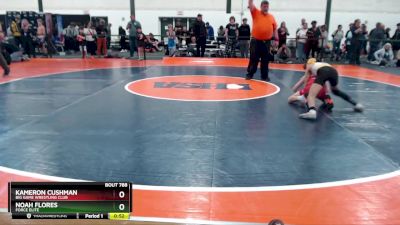 71-77 lbs Round 4 - Kameron Cushman, Big Game Wrestling Club vs Noah Flores, Force Elite