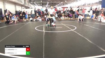 55 lbs Quarterfinal - Carter Labowicz, Roundtree Wrestling Academy vs Camdyn Williams, UNATTACHED