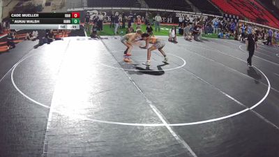 115 lbs Quarters - Cade Mueller, Idaho vs Aukai Walsh, Hawaii