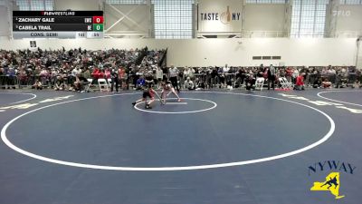 75 lbs Cons. Semi - Cabela Trail, Brawler Elite vs Zachary Gale, LeRoy Wrestling Club