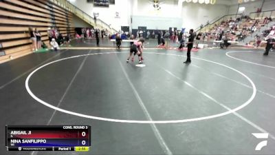 135 lbs Cons. Round 3 - Abigail Ji, IL vs Nina Sanfilippo, WI