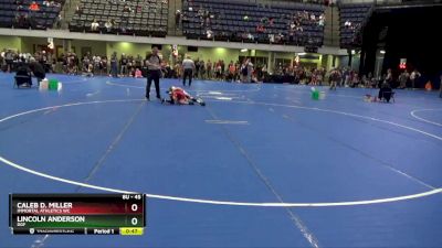 45 lbs Round 5 - Caleb D. Miller, Immortal Athletics WC vs Lincoln Anderson, DGF