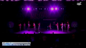 Peach State All Stars - Junior Premier Small Pom -- "Amored Cards" [2026 Junior - Premier - Pom Day 2] 2026 GROOVE Dance Grand Nationals