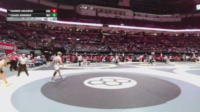 215 lbs Champ. Rd Of 16 - Chase Shriner, New Lexington vs Tanner Arledge, Col. DeSales