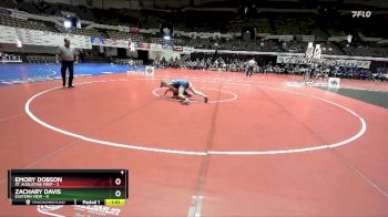 113 lbs Semis & Wb (16 Team) - Zachary Davis, Eastern View vs Emory Dobson, St. Augustine Prep