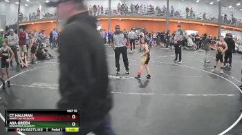 65 lbs Champ. Round 1 - Ct Hallman, Ninety Six Wildcats vs Asa Green, NoWorries Academy