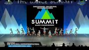 Dance Dynamics - Mini Elite Small Contemporary/Lyrical [2025 Mini - Contemporary/Lyrical - Small Semis] 2025 The Dance Summit