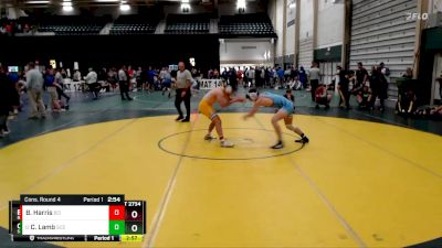 165 lbs Cons. Round 4 - Cayden Lamb, Southeast Community College vs Brandon Harris, Briar Cliff (Iowa)