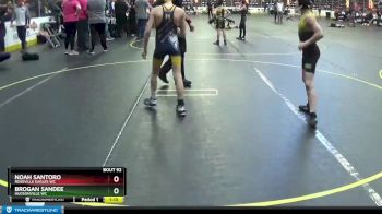 69 lbs Cons. Round 4 - Brogan Sandee, Hudsonville WC vs Noah Santoro, Roseville Eagles WC