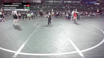 128 lbs Final - Vincent Kisselbach, Pohatcong vs Kelle Domanick, Clearview